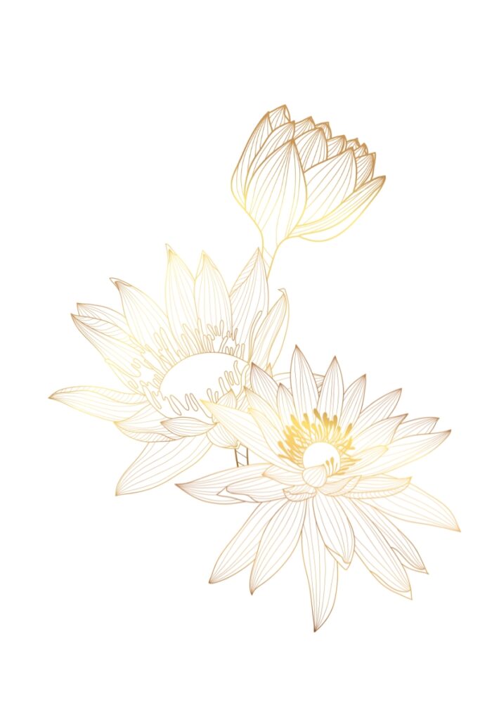 3 Blüten Zeichnung