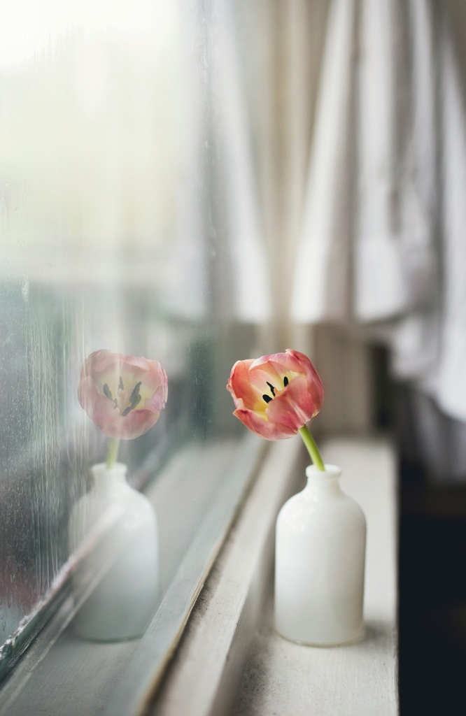 Tulpe in Vase